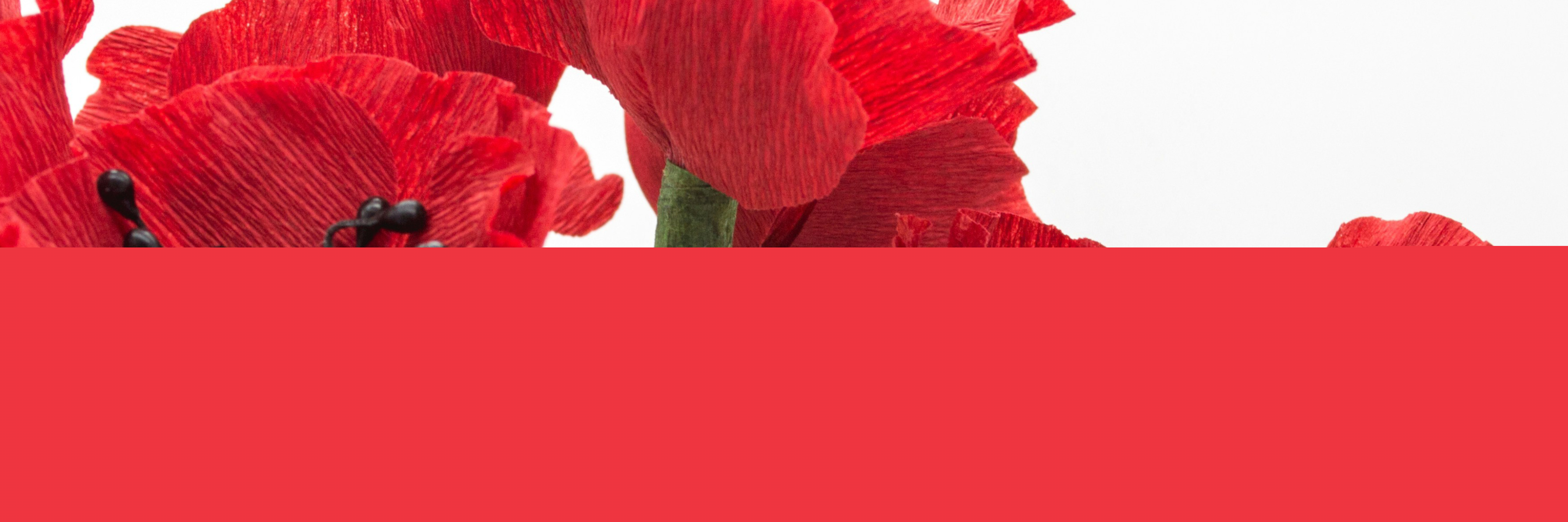 Blomster i Crepepapir