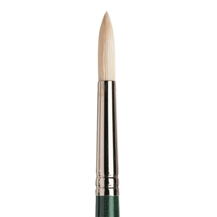 Winton Hog Brush Round 6 i gruppen Kunstnerartikler / Pensler / Pensler med naturhår / Svinehårspensler hos Pen Store (107582)