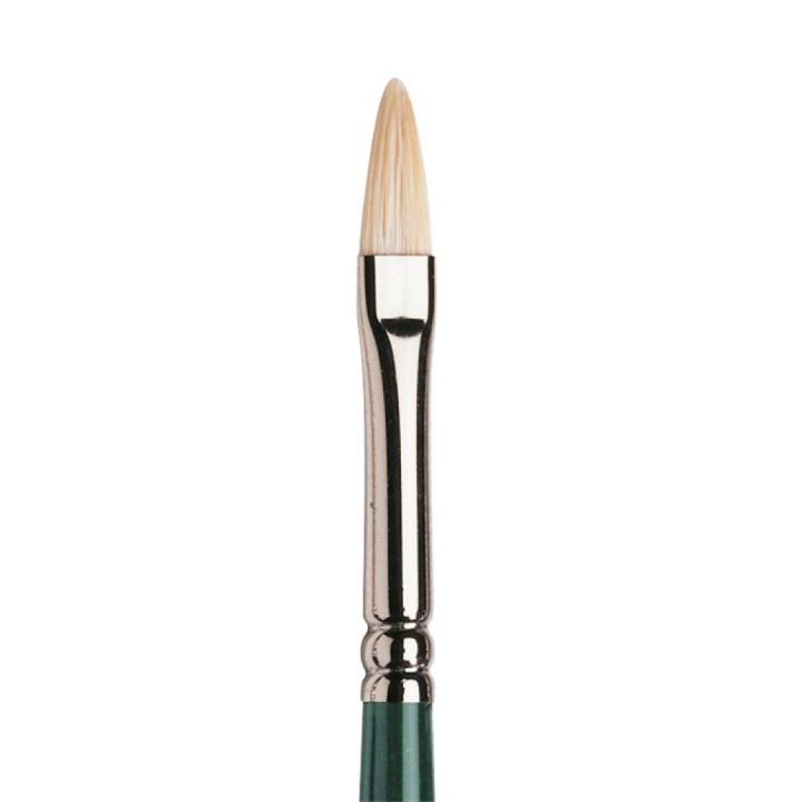 Winton Hog Brush Filbert 2 i gruppen Kunstnerartikler / Pensler / Pensler med naturhår / Svinehårspensler hos Pen Store (107656)