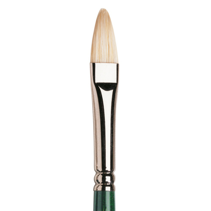 Winton Hog Brush Filbert 6 i gruppen Kunstnerartikler / Pensler / Akrylpensler hos Pen Store (107658)