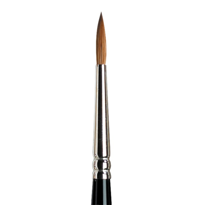 Series 7 Kolinsky Sable Brush 3 i gruppen Kunstnerartikler / Pensler / Akvarelpensler hos Pen Store (107670)