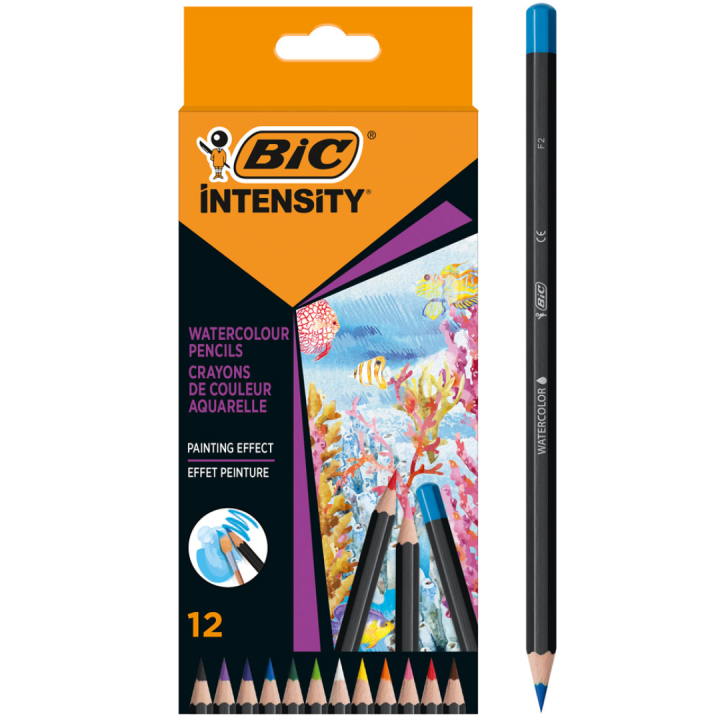 Akvarelblyanter Intensity 12 stk i gruppen Penne / Kunstnerpenne / Akvarelblyanter hos Pen Store (130133)