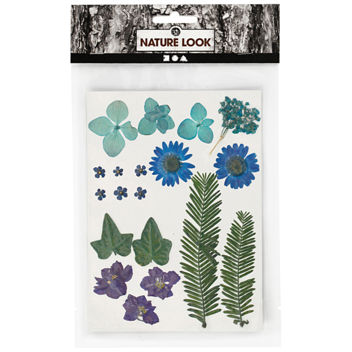 Tørrede blomster og blade Blå i gruppen Hobby & Kreativitet / Teknikker / Scrapbooking hos Pen Store (130762)