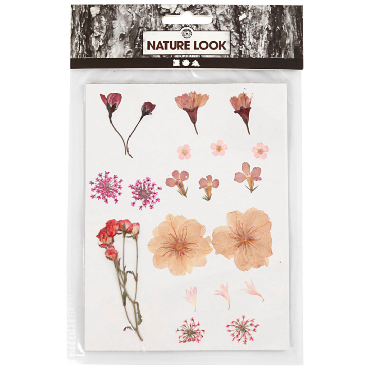 Tørrede blomster og blade Lys rosa i gruppen Hobby & Kreativitet / Teknikker / Scrapbooking hos Pen Store (130763)