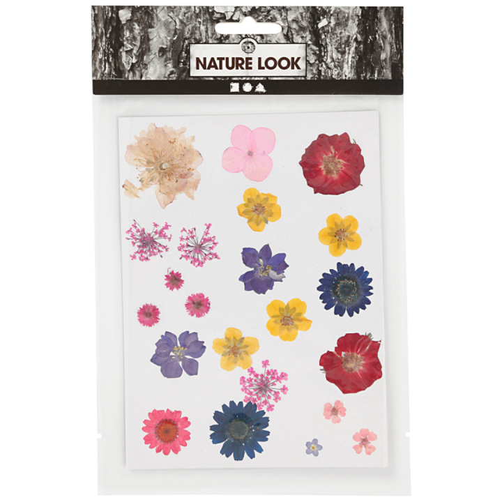Tørrede blomster og blade Blandede farver i gruppen Hobby & Kreativitet / Teknikker / Scrapbooking hos Pen Store (130767)