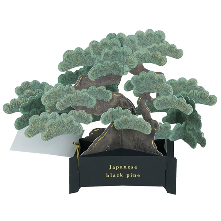 Bonsai popup-kort (Japanese black pine) i gruppen Hobby & Kreativitet / Højtider og sæsoner / Kort og kuverter hos Pen Store (136616)