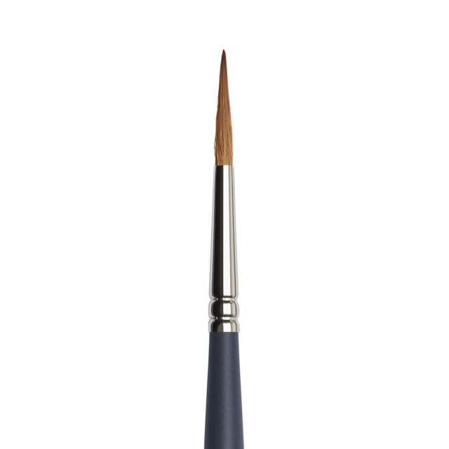 Professional Brush Pointed Round St 6