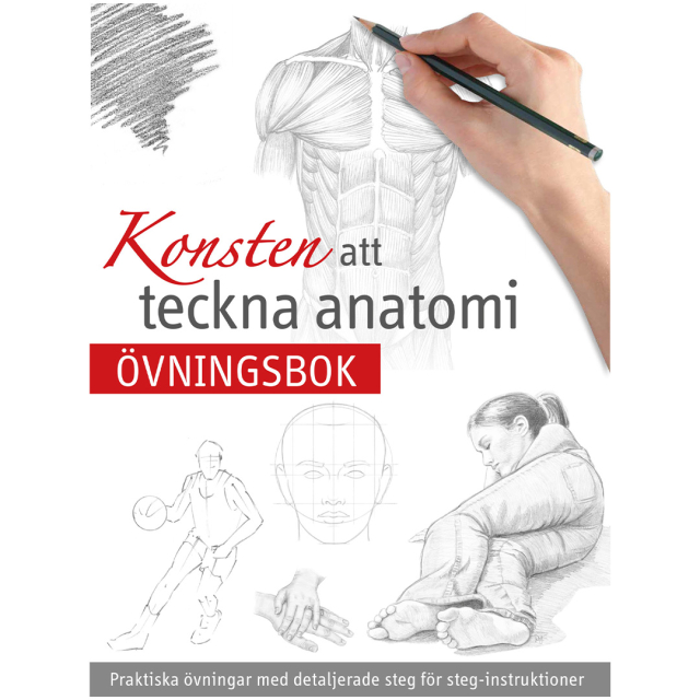Kunsten at tegne Anatomi
