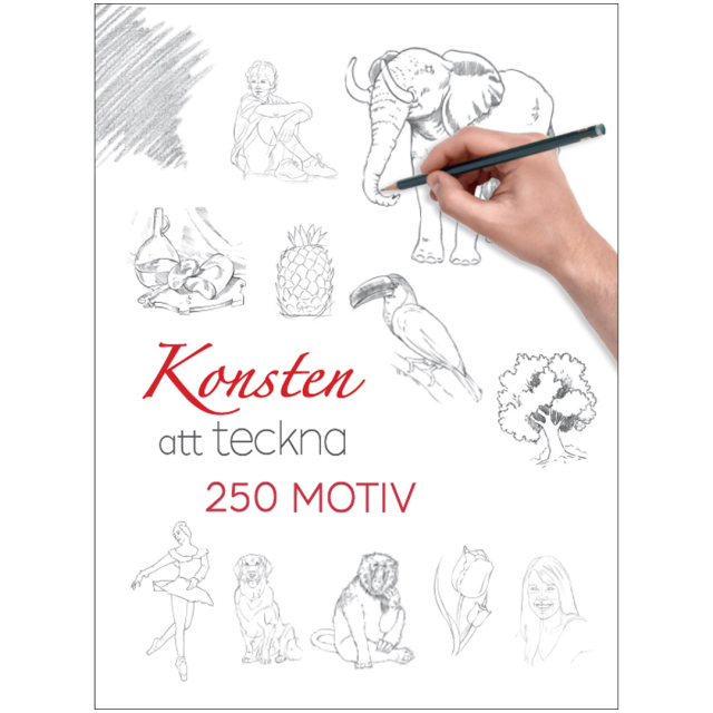 Konsten att teckna : 250 motiv