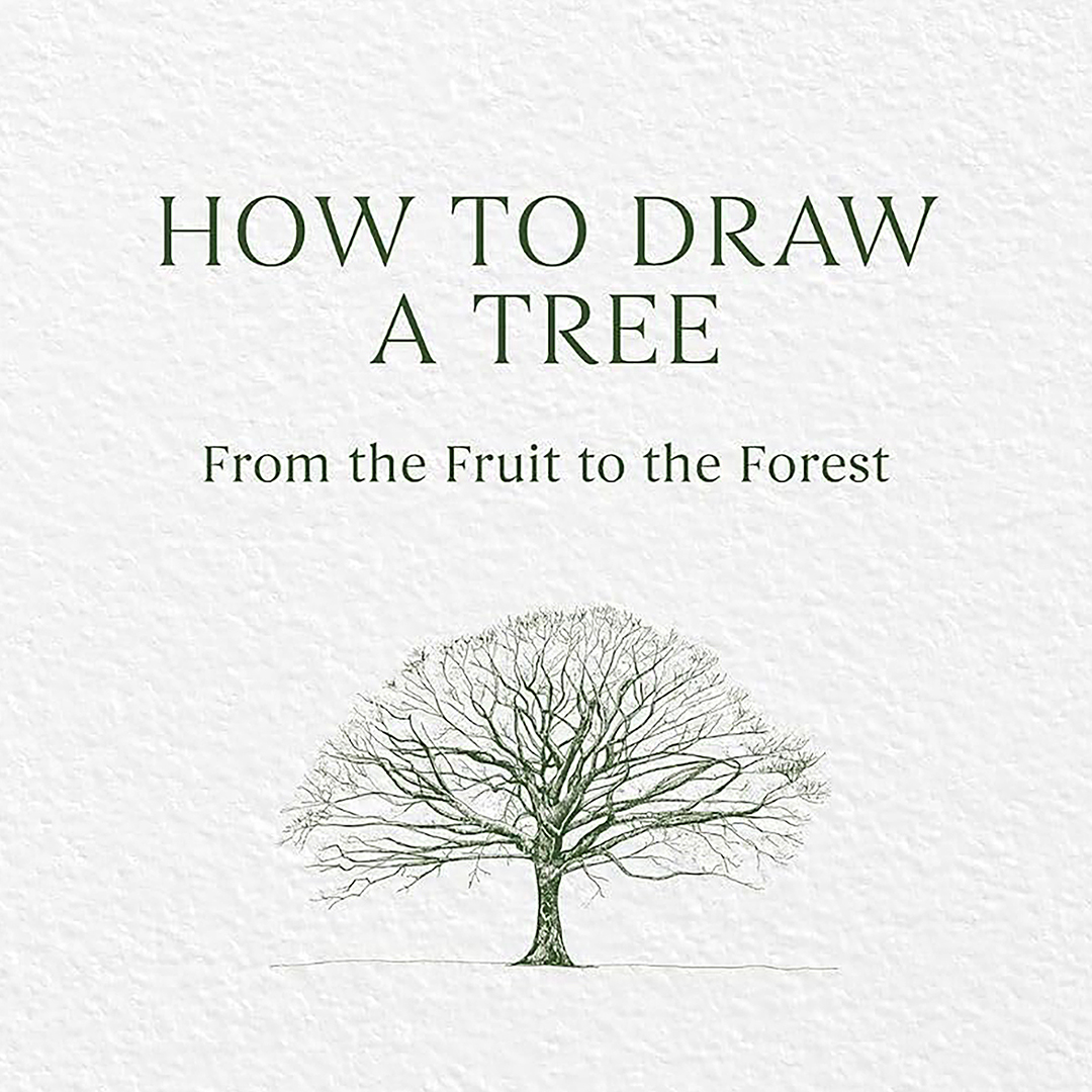 How to Draw a Tree: from the Fruit to the Forest