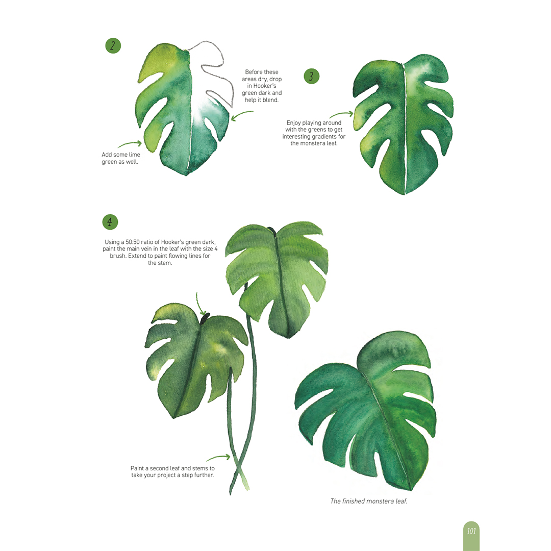 Paint 50: Watercolour Nature