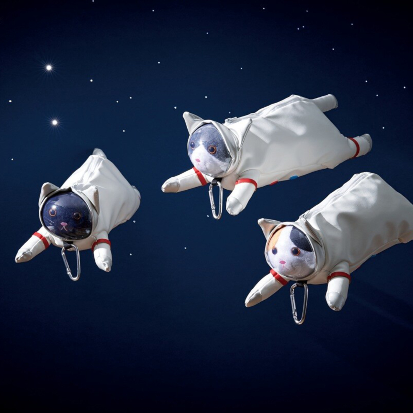 Penalhus Astro Cat Black