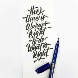 Zensations Penselpen i gruppen Penne / Kunstnerpenne / Penselpenne hos Pen Store (102180_r)