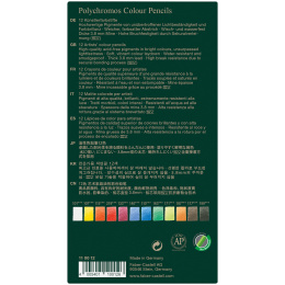 Farveblyanter Polychromos sæt 12 stk i gruppen Penne / Kunstnerpenne / Farveblyanter  hos Pen Store (105074)