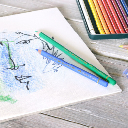 Polychromos stykkevis i gruppen Penne / Kunstnerpenne / Farveblyanter  hos Pen Store (105856_r)