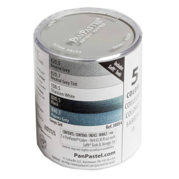 Starter sæt 5 stk Greys i gruppen Kunstnerartikler / Kunstnerfarver / Pastel / Tørpasteller hos Pen Store (106085)