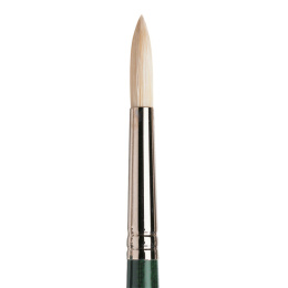 Winton Hog Brush Round 6 i gruppen Kunstnerartikler / Pensler / Pensler med naturhår / Svinehårspensler hos Pen Store (107582)