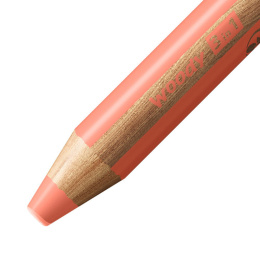 Woody 3-in-1 Farvepenne Pastel 6-sæt + spidsere i gruppen Kids / Børnepenne / Farveblyanter til børn hos Pen Store (127789)