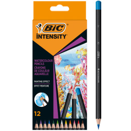 Akvarelblyanter Intensity 12 stk i gruppen Penne / Kunstnerpenne / Akvarelblyanter hos Pen Store (130133)