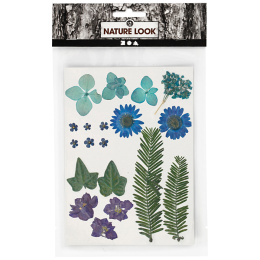 Tørrede blomster og blade Blå i gruppen Hobby & Kreativitet / Teknikker / Scrapbooking hos Pen Store (130762)