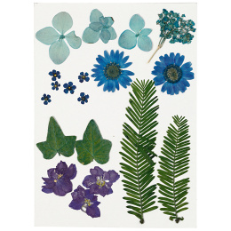 Tørrede blomster og blade Blå i gruppen Hobby & Kreativitet / Skabe / Scrapbooking hos Pen Store (130762)