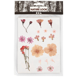 Tørrede blomster og blade Lys rosa i gruppen Hobby & Kreativitet / Teknikker / Scrapbooking hos Pen Store (130763)