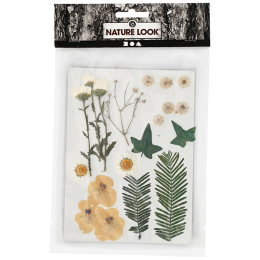 Tørrede blomster og blade Råhvid i gruppen Hobby & Kreativitet / Teknikker / Scrapbooking hos Pen Store (130765)