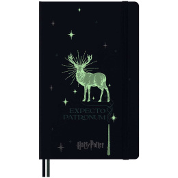 Hard Cover Notebook Large Harry Potter Expecto Patronum i gruppen Papir & Blok / Skriv og noter / Notesbøger hos Pen Store (132483)