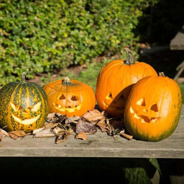 Græskar Skæresæt 5 dele + skabeloner  i gruppen Hobby & Kreativitet / Højtider og sæsoner / Halloween hos Pen Store (132630)