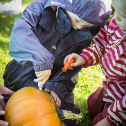 Græskar Skæresæt 5 dele + skabeloner  i gruppen Hobby & Kreativitet / Højtider og sæsoner / Halloween hos Pen Store (132630)