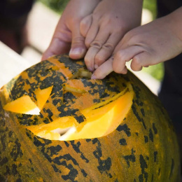 Græskar Skæresæt 5 dele + skabeloner  i gruppen Hobby & Kreativitet / Højtider og sæsoner / Halloween hos Pen Store (132630)