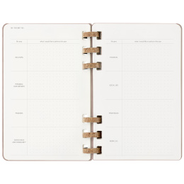 12M Spiral Planner 2025 XL Almond i gruppen Papir & Blok / Kalendere / 12 mdr kalendere hos Pen Store (133786)