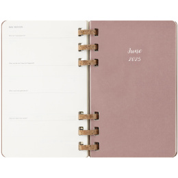 12M Spiral Planner 2025 XL Almond i gruppen Papir & Blok / Kalendere / 12 mdr kalendere hos Pen Store (133786)