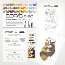 Ciao Layer & Mix 2D Starter Set Pet i gruppen Penne / Kunstnerpenne / Illustrationmarkers hos Pen Store (135133)