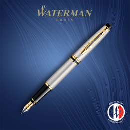 Expert Steel/Gold Fyldepen i gruppen Penne / Fine Writing / Fyldepenne hos Pen Store (135459_r)