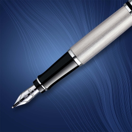 Expert Steel Fyldepen Medium i gruppen Penne / Fine Writing / Fyldepenne hos Pen Store (135462)