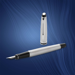 Expert Steel Fyldepen Medium i gruppen Penne / Fine Writing / Fyldepenne hos Pen Store (135462)