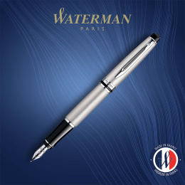 Expert Steel Fyldepen Medium i gruppen Penne / Fine Writing / Fyldepenne hos Pen Store (135462)