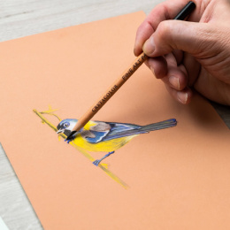 Fine Art Pastellpenn-sæt 7 dele i gruppen Penne / Kunstnerpenne / Pastelblyanter hos Pen Store (135654)