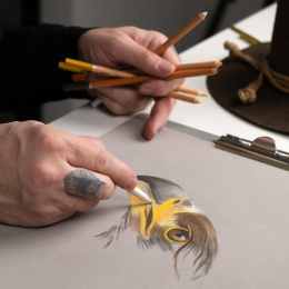 Eagle Tegnesæt 12 dele i gruppen Penne / Kunstnerpenne / Pastelblyanter hos Pen Store (135655)