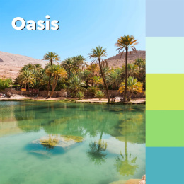 Post-it Super Sticky 76x127 Farvemix Oasis 5-pak i gruppen Papir & Blok / Skriv og noter / Post-it og notesblokke hos Pen Store (135718)