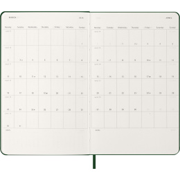 Kalender 12M Daily 2026 Hardcover Large Myrtle Green i gruppen Papir & Blok / Kalendere / 12 mdr kalendere hos Pen Store (136083)