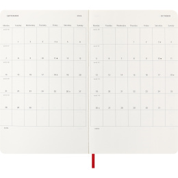 Kalender 12M Daily 2026 Softcover Large Red i gruppen Papir & Blok / Kalendere / 12 mdr kalendere hos Pen Store (136085)