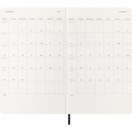 Kalender 12M Daily 2026 Softcover Large Sapphire Blue i gruppen Papir & Blok / Kalendere / 12 mdr kalendere hos Pen Store (136087)