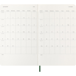 Kalender 12M Daily 2026 Softcover Large Myrtle Green i gruppen Papir & Blok / Kalendere / 12 mdr kalendere hos Pen Store (136088)