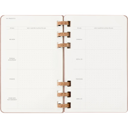 Kalender 12M Spiral Planner 2026 Large Almond i gruppen Papir & Blok / Kalendere / 12 mdr kalendere hos Pen Store (136105)