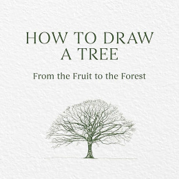 How to Draw a Tree: from the Fruit to the Forest i gruppen Hobby & Kreativitet / Bøger / Instruktionsbøger hos Pen Store (136291)