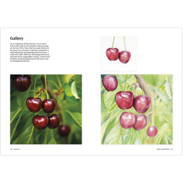 How to Draw a Tree: from the Fruit to the Forest i gruppen Hobby & Kreativitet / Bøger / Instruktionsbøger hos Pen Store (136291)