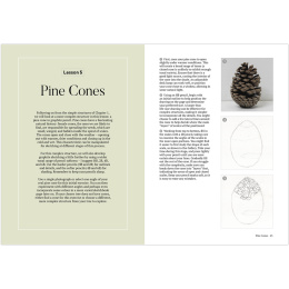 How to Draw a Tree: from the Fruit to the Forest i gruppen Hobby & Kreativitet / Bøger / Instruktionsbøger hos Pen Store (136291)