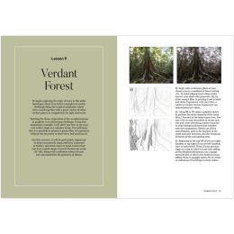 How to Draw a Tree: from the Fruit to the Forest i gruppen Hobby & Kreativitet / Bøger / Instruktionsbøger hos Pen Store (136291)